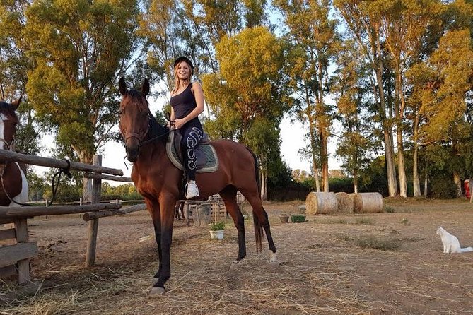 Rome : Horseback Riding with meals and wine included - Private Tour Energy: Why Your Guide Matters