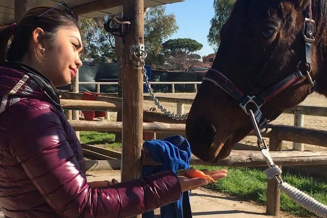 Rome : Horseback Riding with meals and wine included - Price and Value at $165.06: What You’re Actually Buying