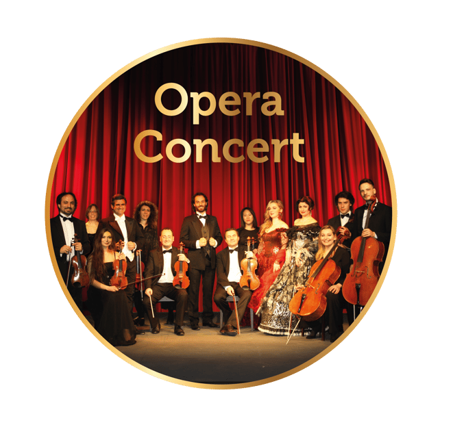 Rome: Musical Biography of Frank Sinatra Concert - Should You Book This Frank Sinatra Musical Biography Concert?