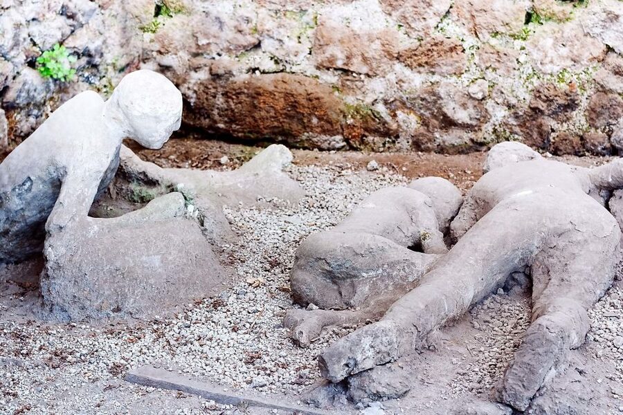 Rome: Pompeii and Naples Day Trip with Pompeii Entry Ticket - Who should book this Pompeii and Naples day trip?
