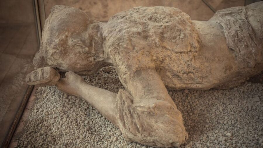 Rome: Pompeii Tour with Wine and Lunch by High Speed Train - Key highlights you should know before you go