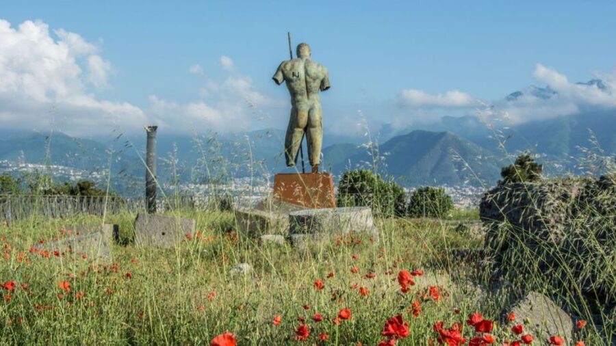 Rome: Pompeii Tour with Wine and Lunch by High Speed Train - A quick Rome-to-Pompeii route that actually feels like a day trip