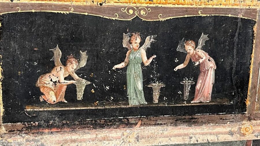Rome: Pompeii Tour with Wine and Lunch by High Speed Train - Vineyard lunch and wine tasting: the calm reset after ruins