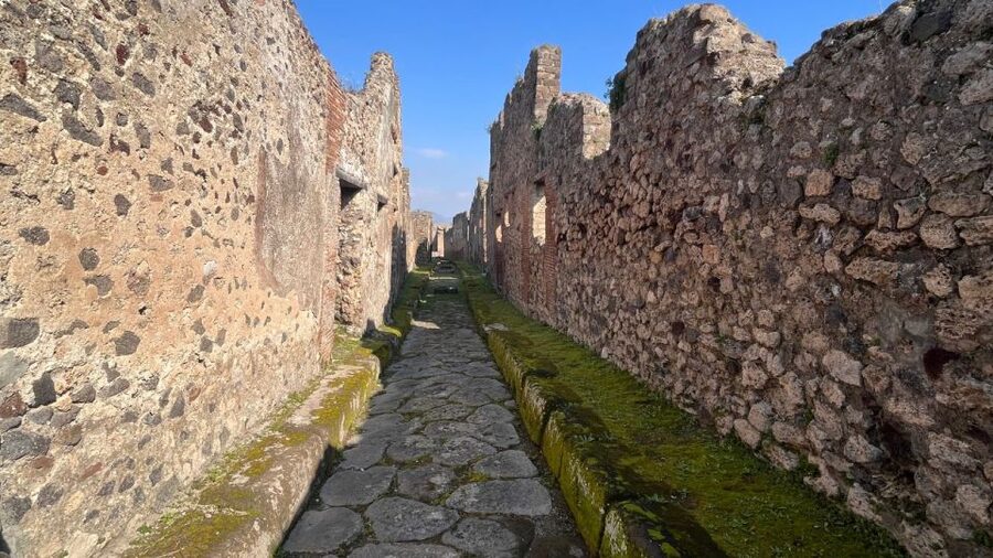 Rome: Pompeii Tour with Wine and Lunch by High Speed Train - Who this Pompeii day trip is for (and who should look elsewhere)