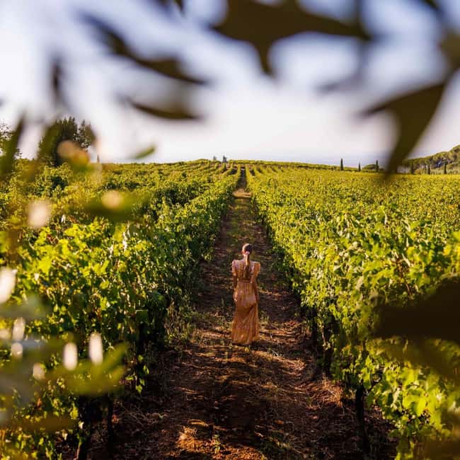 Rome: Private Castelli Romani Wine Tasting Tour - The Tasting Flight: How the 3 Wines Work Together