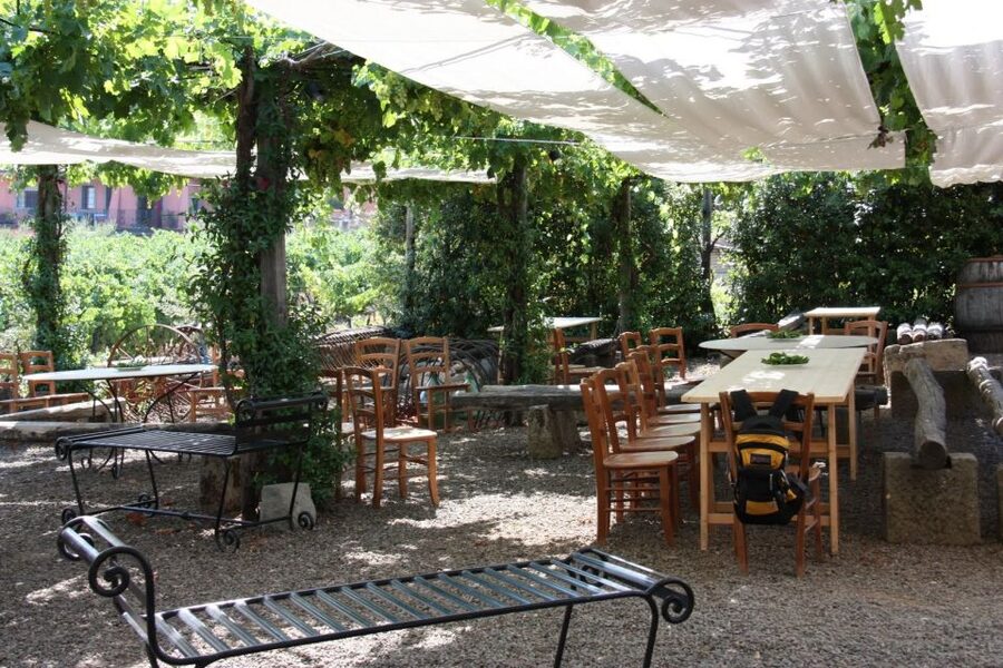 Rome: Private Castelli Romani Wine Tasting Tour - Who This Tour Is Best For (and Who Should Skip It)