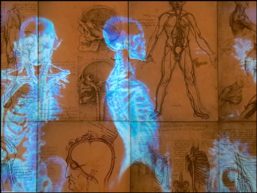 Rome: Private Leonardo da Vinci Exhibition Guided Tour - The guide makes (or breaks) the experience