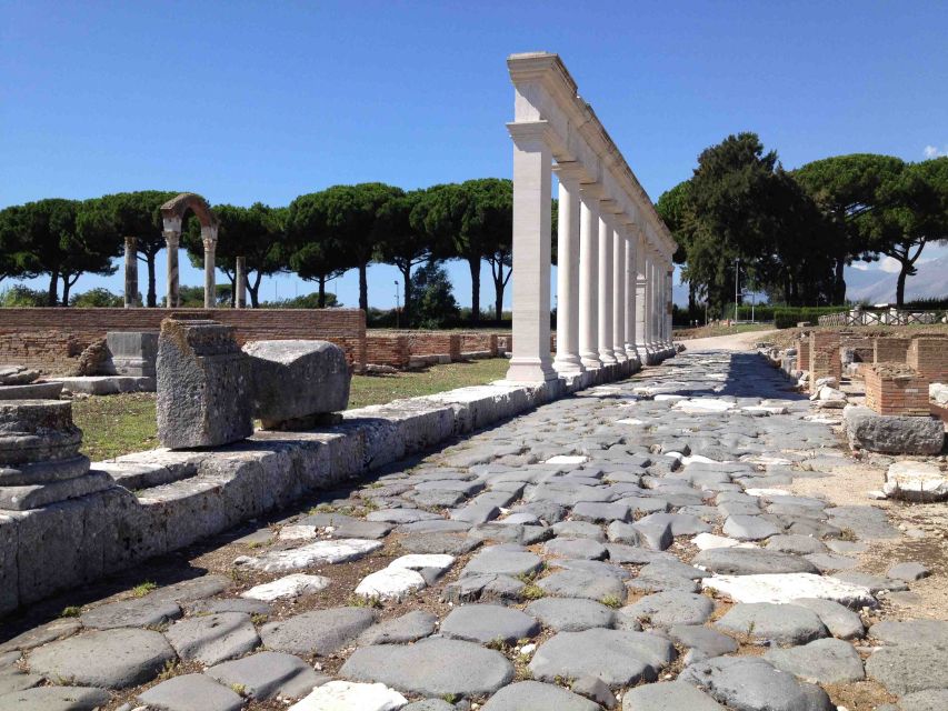 Rome: Private Tailored City Tour with Expert Driver - Colosseum and the Roman Forum Exteriors: The Best First Look