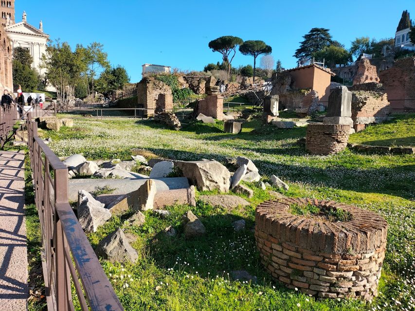 Rome: Roman Forum and Palatine Hill Licensed Guided Tour - Palatine Hill: panoramic views and the story of imperial beginnings