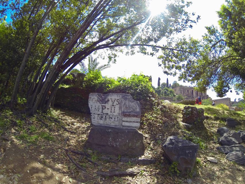 Rome: Roman Forum & Palatine Hill Tour - The Senate House and Caesar’s shadow