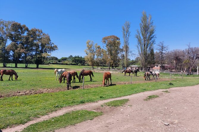 Rome's Ultimate Bike Tour - Catacombs and the Road Into the Outskirts: San Callisto Up Close