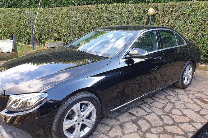 Rome Shore Excursion: Pre-Cruise Private Sightseeing Tour Including Civitavecchia Port Drop-Off - What the $331.28 price really covers (and when it feels worth it)