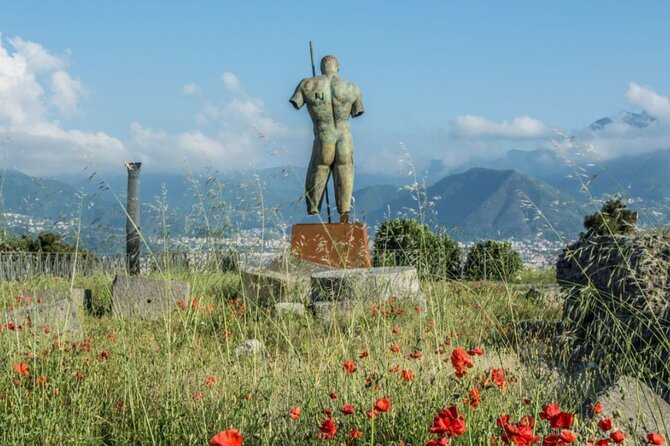 Rome to Pompeii Guided Tour with Wine & Lunch by High Speed Train - Vesuvius winery on the slopes: tastings plus a timed lunch
