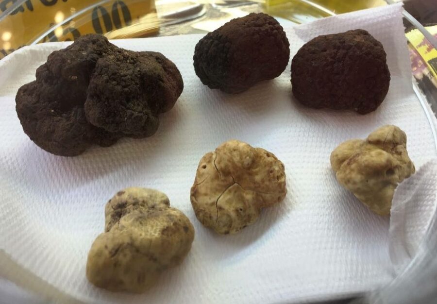 Rome: Trastevere Guided Food and Wine Tour with 20+ Tastings - Trastevere is the perfect stage for a serious food tour