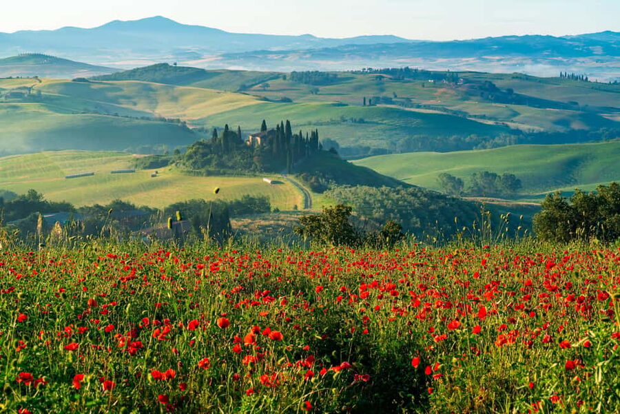 Rome: Tuscany & Montepulciano Day Trip with Lunch & Wines - Pienza: UNESCO views, Pecorino hunting, and how the free time feels