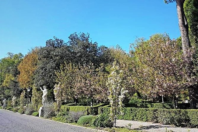 Rome: Vatican Museums and Gardens Private Tour - Pick up included - St. Peter’s Basilica: La Pietà, Bernini’s baldachin, and key tomb stops
