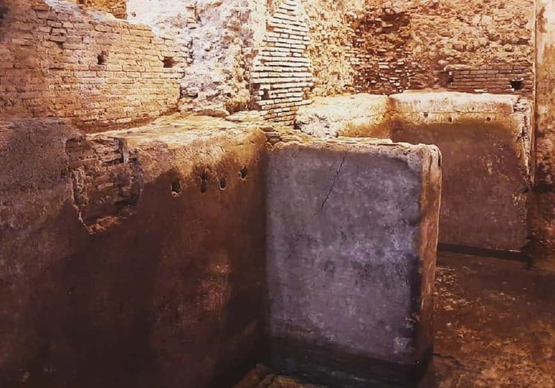 Rome: Vatican Necropolis and Via Triumphalis Guided Tour - Key highlights at a glance