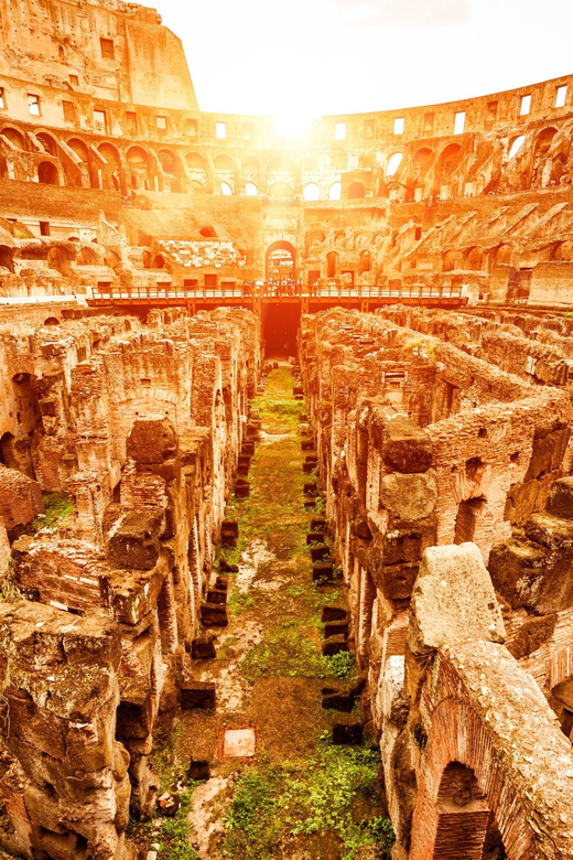 Rome: VIP Colosseum, Roman Forum, Palatine Hill Experience - Should You Book This VIP Colosseum, Roman Forum, and Palatine Hill Audio Experience?