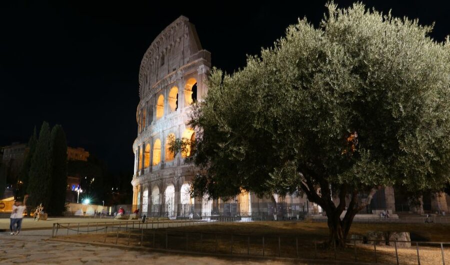 Rome: Wonders of Ancient Rome at Dusk - Key things you’ll notice on this dusk walk