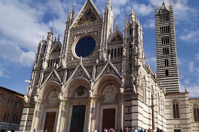 Siena and San Gimignano from Rome: Wine Tasting Tour in Tuscany - What the Best Reviews Keep Highlighting About Guides and Drivers