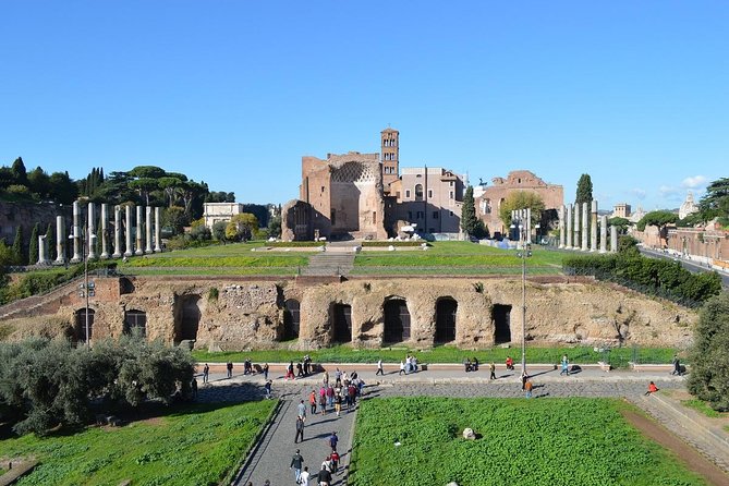 Small Group Colosseum, Roman Forum and Palatine Hill Guided Tour - What’s not included (so expectations match reality)