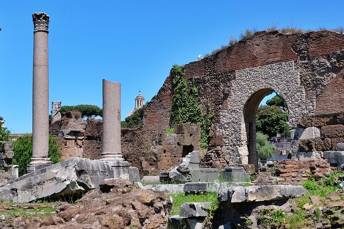 Small Group Colosseum, Roman Forum & Palatine Hill Tour - How Much Walking and Heat Should You Expect?
