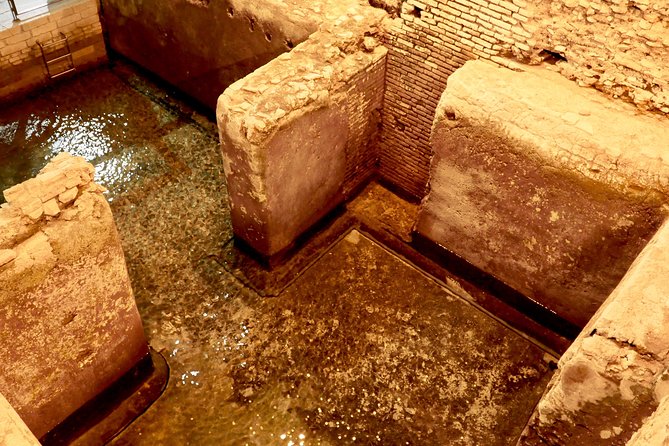 Small-Group Express Tour of Trevi Fountain with Undergrounds - Who should book this Trevi Fountain underground express tour?