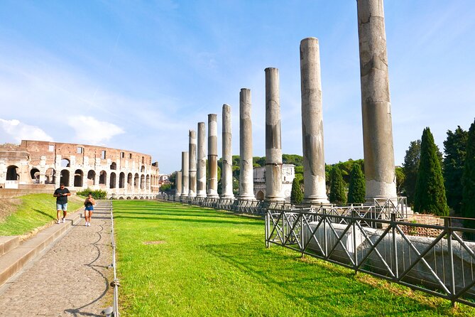 Small-Group Tour of Roman Forum & Palatine Hill - Roman Forum: where politics, religion, and punishment collide