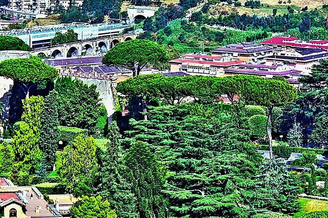 St. Peter's Basilica and Papal Grottoes Guided Tour - Michelangelo’s La Pietà: what you should do if it’s not viewable