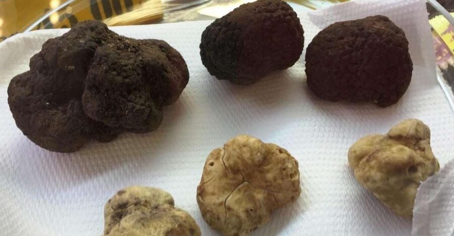 The Truffle Experience in Rome - La Nicchia Cafe: Where the Truffle Evening Starts