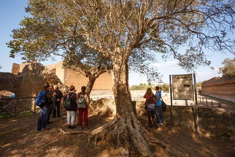 Tivoli: Entrance Ticket to Villa Adriana & App Audioguide - Villa Adriana in Tivoli: what Hadrian’s retreat feels like