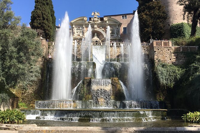 Tivoli Gardens and Hadrian's Villa full day guided tour - Your guide and driver make the difference