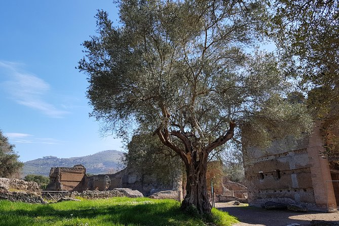 Tivoli Villas Full Day Trip From Rome with Lunch - Stop 1 at Hadrian’s Villa: Villa Adriana, Canopus, and the Serapeum