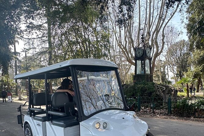 Tour at Villa Borghese ,Hotel pick-up, custom timetable - Price and value: does $108.14 per person make sense?