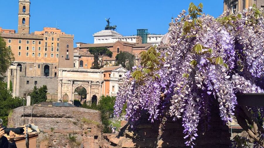 Tour of Colosseum & Roman Forum with Dutch Guide - Inside the Colosseum: Gladiators, Lions, Sea Battles, and Executions