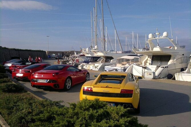 Transfer Civitavecchia Cruise Port>Rome/FCO/or Private Revers - Key Highlights You’ll Feel Right Away
