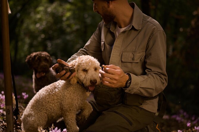 Truffle Hunting, Lunch & Cooking Class in Rome's Countryside - From Ottaviano Metro to Riano’s Truffle Country