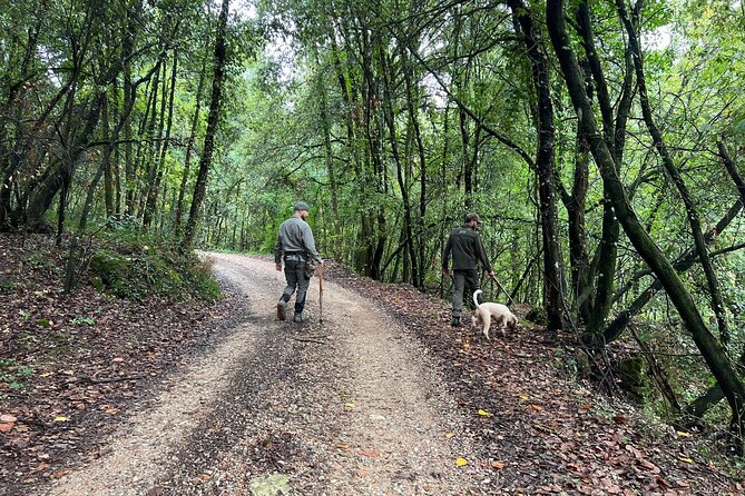 Truffle Hunting, Lunch & Cooking Class in Rome's Countryside - What You’ll Likely Do, Hour by Hour (and What Matters)