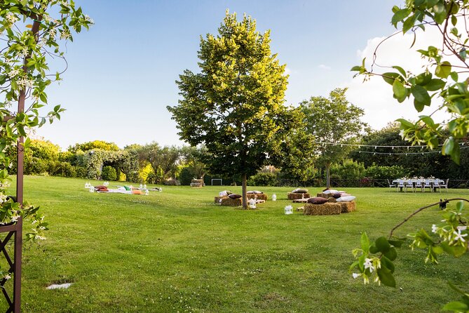 Truffle Hunting, Lunch & Cooking Class in Rome's Countryside - Price and Value: What $540.11 Covers