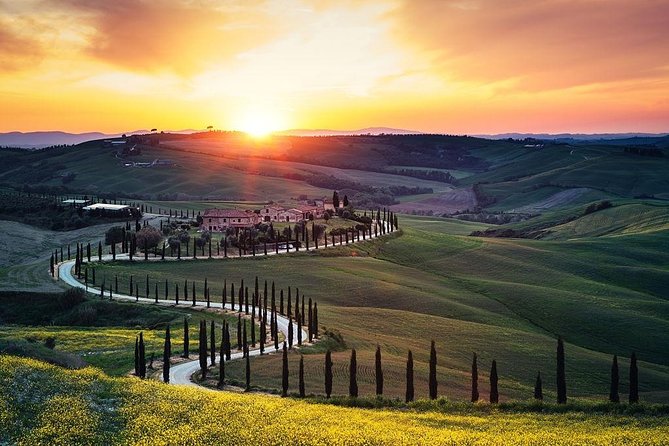 Tuscany Countryside including Wine Tasting & Lunch - Private Day Trip from Rome - Siena on Your Own: Piazza del Campo and the Torre Del Mangia Choice