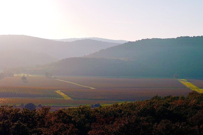 Tuscany & Pitigliano Day Tour from Rome with Wine Tasting & Lunch - Scansano lunch with local wines and a hilltop pause