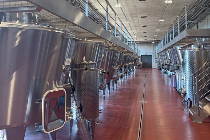 Tuscany & Pitigliano Day Tour from Rome with Wine Tasting & Lunch - Tenuta il Quinto: six organic wines, cheese, prosciutto, and the wine-cave feel