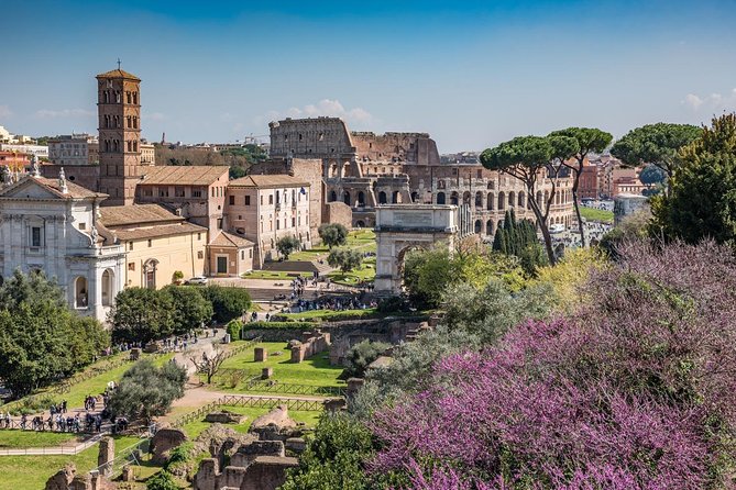 Ultimate Colosseum, Roman Forum & Palatine Hill Small Group Tour - Vestal Virgins, Saturn, and the Forum’s Main Public Buildings