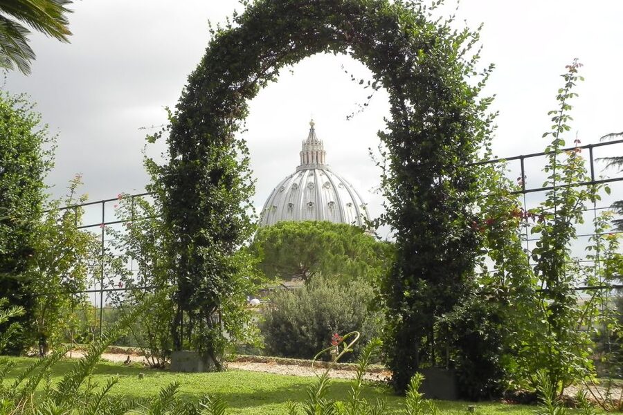 Vatican: Gardens, Museums and Sistine Chapel Guided Tour - St. Peter’s Basilica from a special angle on the way through