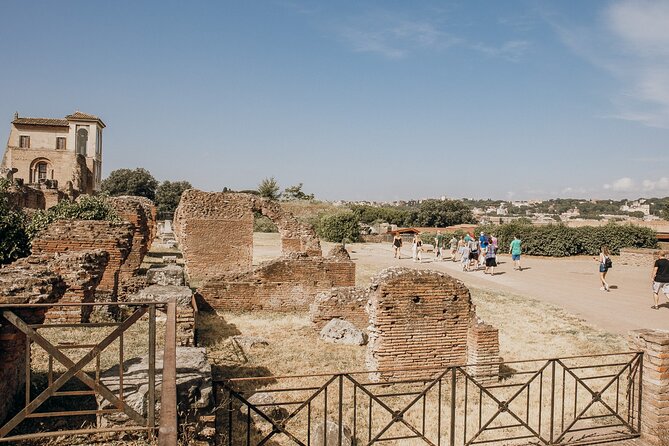 VIP Colosseum, Roman Forum & Palatine Hill & Special Access Sites - Timing, group size, and why your guide matters