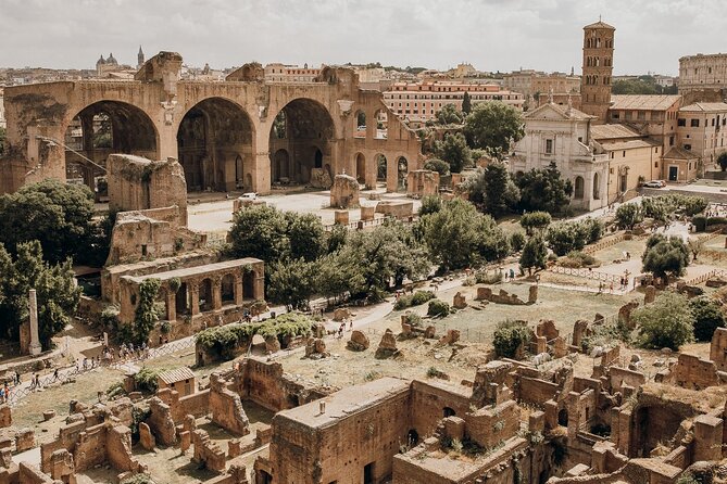 VIP Colosseum, Roman Forum & Palatine Hill & Special Access Sites - Who should book this VIP Colosseum, Forum, and Palatine Hill tour