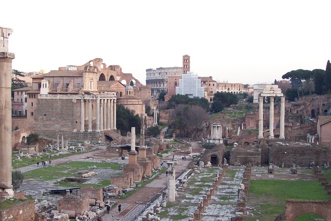 Walking Tour of the Colosseum, the Roman Forum and Palatine Hill - What to bring: ID matching is not optional