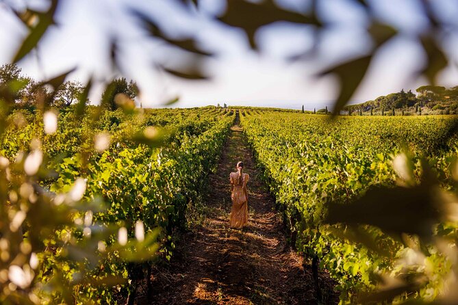 Wine Tasting in Frascati from Rome - The private setup: pickup, transport, and a calmer pace
